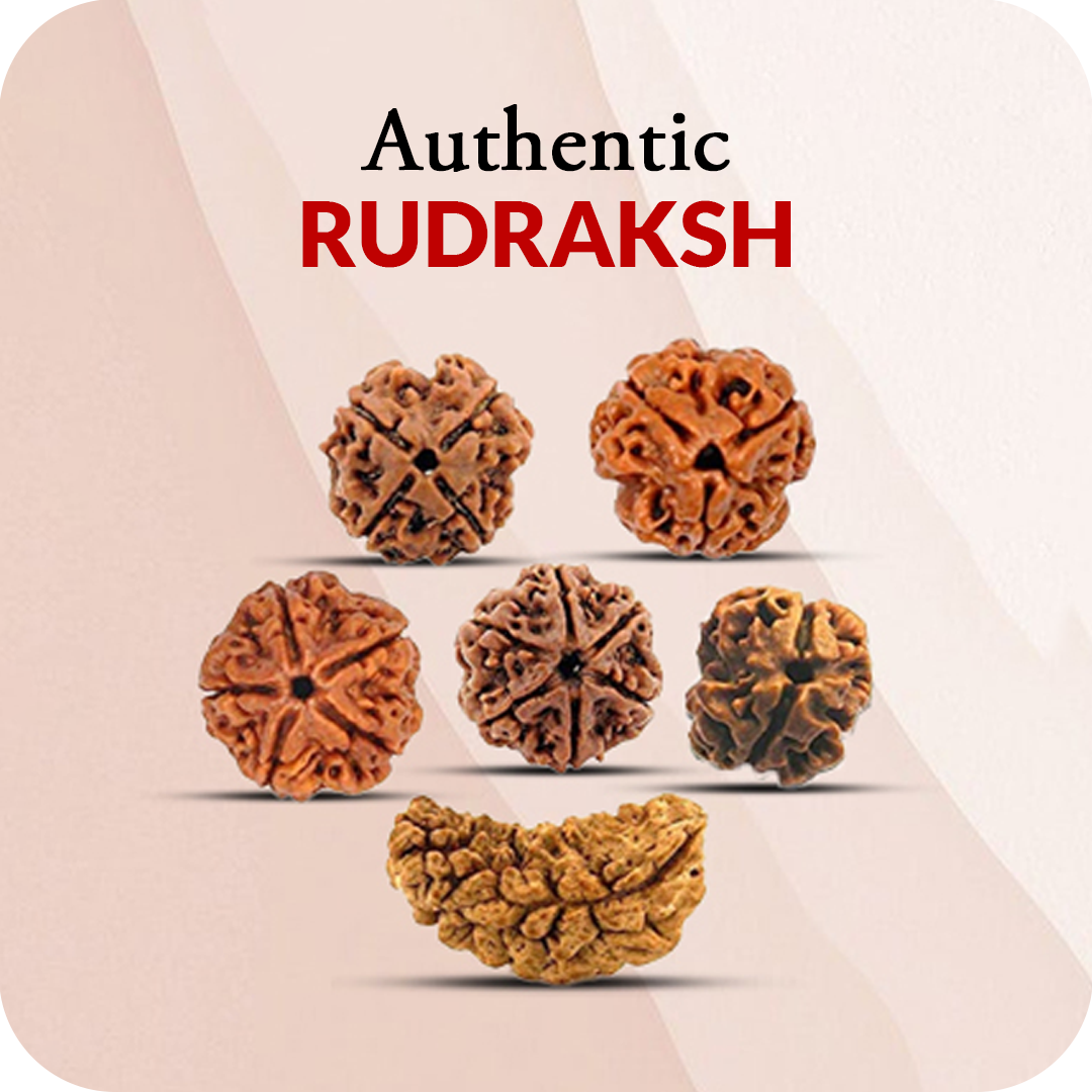 Rudraksh